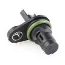 thumb (5).webp