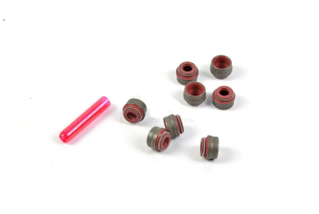 [11317710485] KIT DE REPARACIÓN DE ANILLO DE SELLO DE VÁLVULA