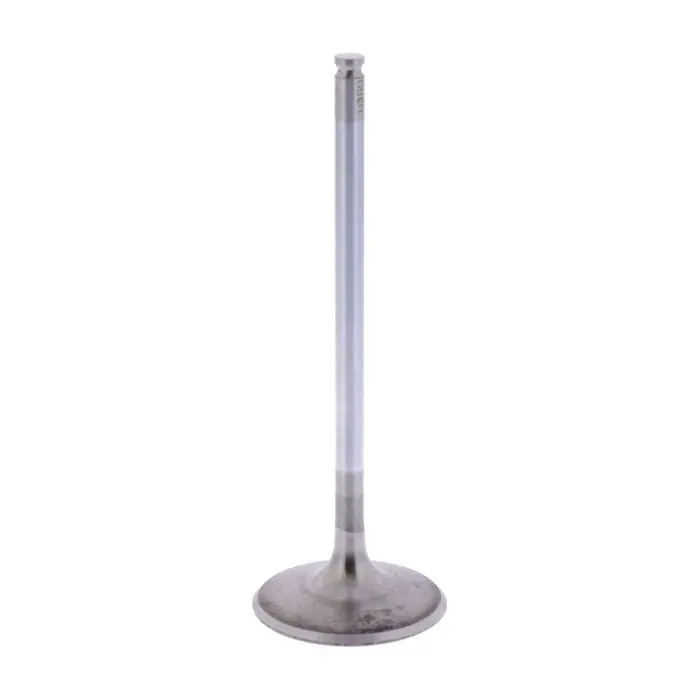 [11348562845] VALVULA DE ADMISION G310