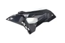 MOLDURA CARENADO DERECHO G310R