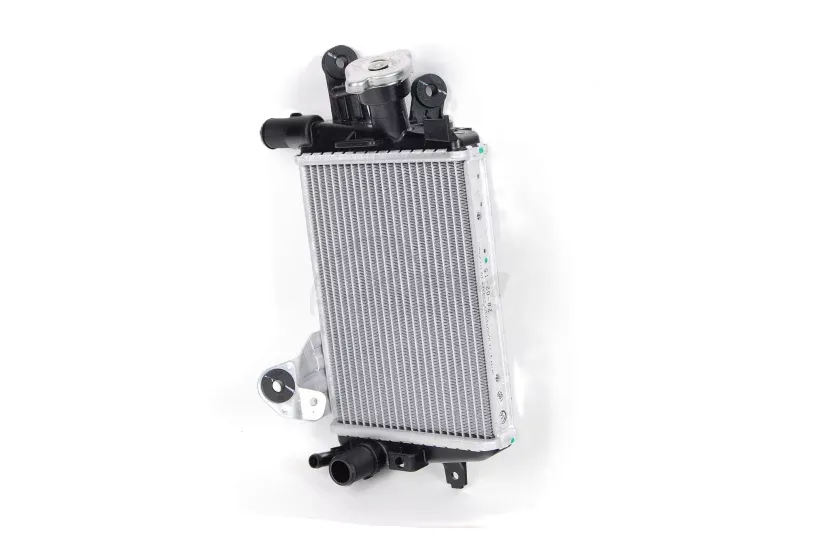 [17118546416] Radiador Derecho R1250