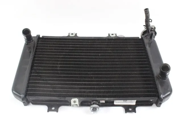 [17118558350 US] Radiador G310 (Desarme)