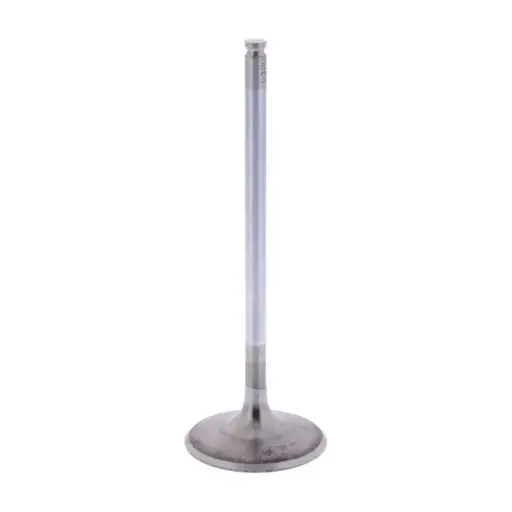 [11348562845] VALVULA DE ADMISION G310